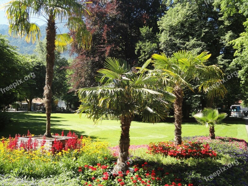 Bad Reichenhall Kurpark Palm Trees Bavaria Rest