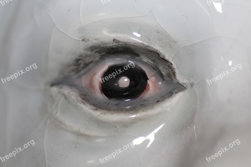 Ceramics Eye Eyeball Look See