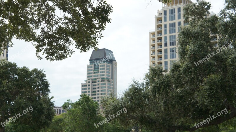 St Petersburg Usa Skyline Trees Free Photos