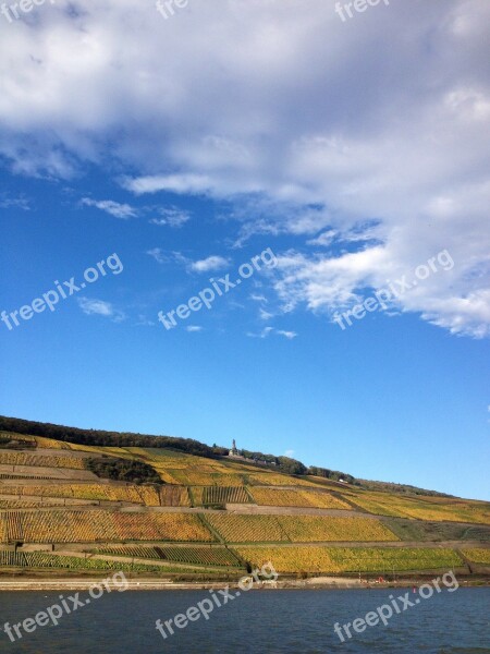 Winegrowing Weinterassen Bingen Rudesheim Rhine