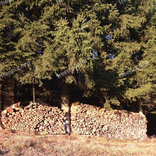 Edge Of The Woods Pile Of Wood Autumn Tribe Nature