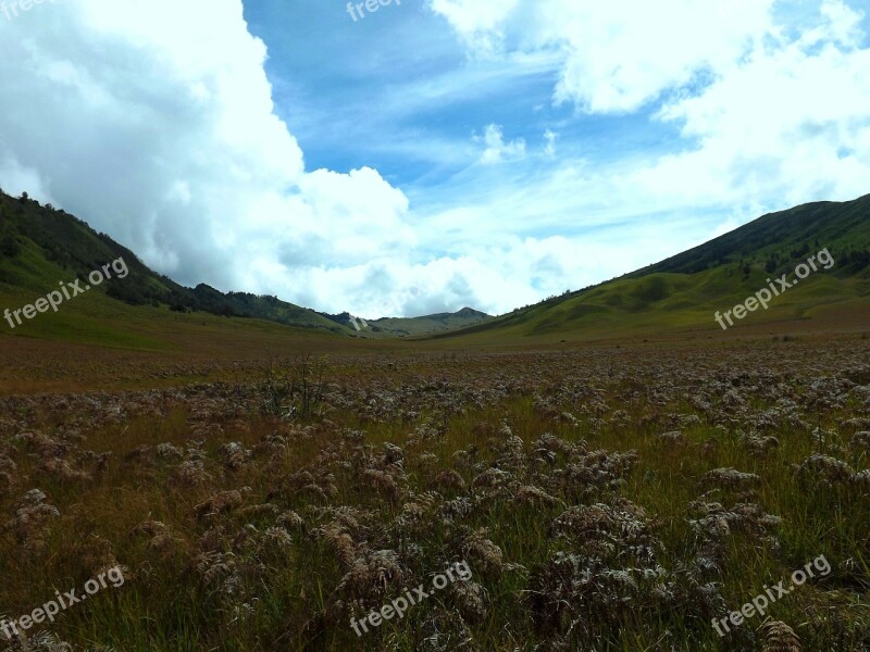 Savana Gunung Bromo Jawa Timur Indonesia