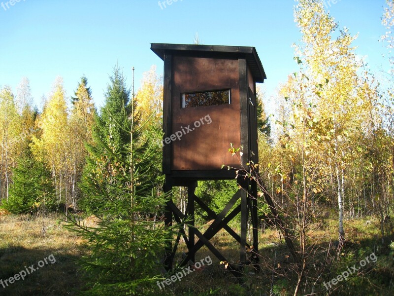 Autumn Hunting Towers Forest Colors Sky Blue Tree