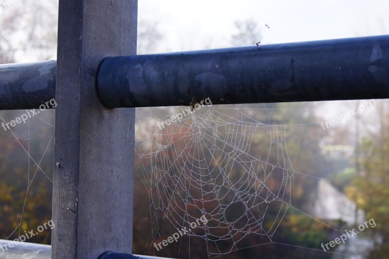 Autumn Dew Cobweb Railing Cloud Ready