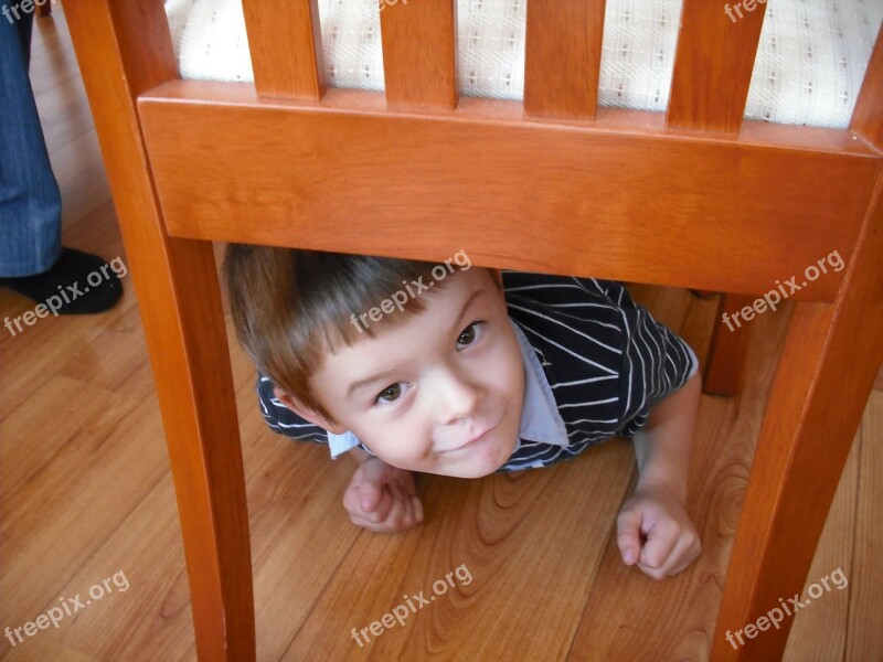 Boy Chair Playing Turtle Free Photos