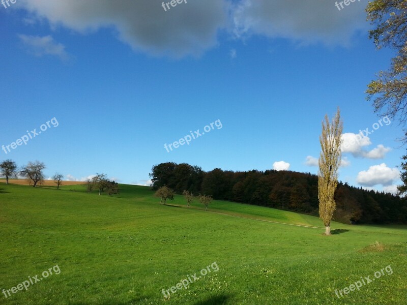 Enz Nature Wurmberg Black Forest Free Photos