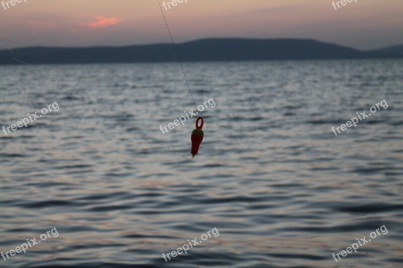 Lake Balaton Water Summer Free Photos