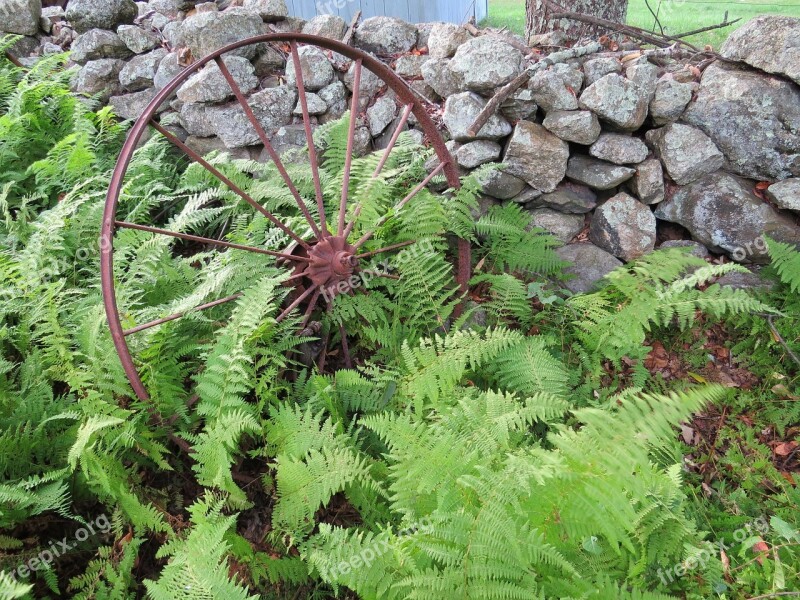 Wagon Wheel Old Wagon Wheel Ferns Stone Wall