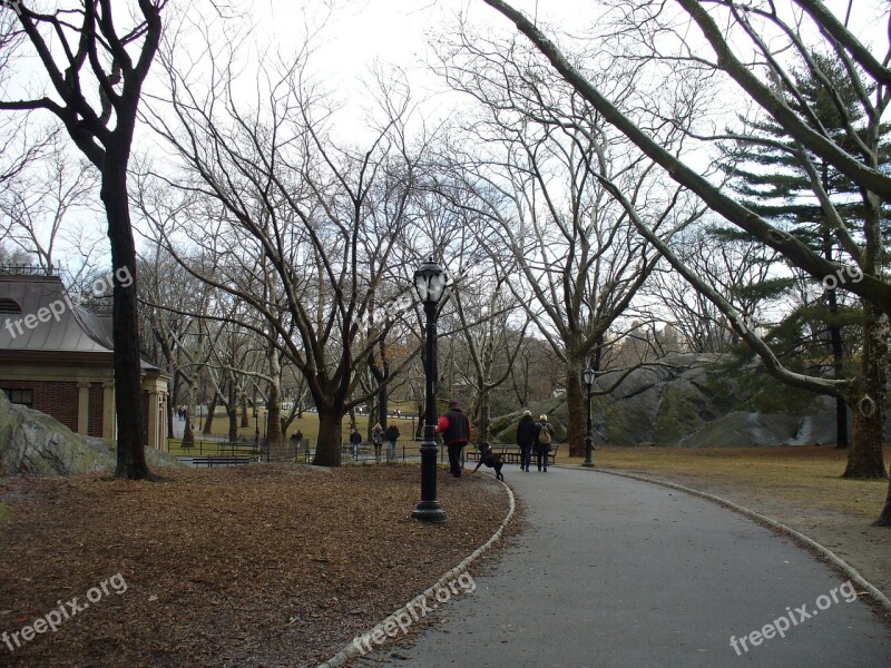 Central Park New York Manhattan Park Trees