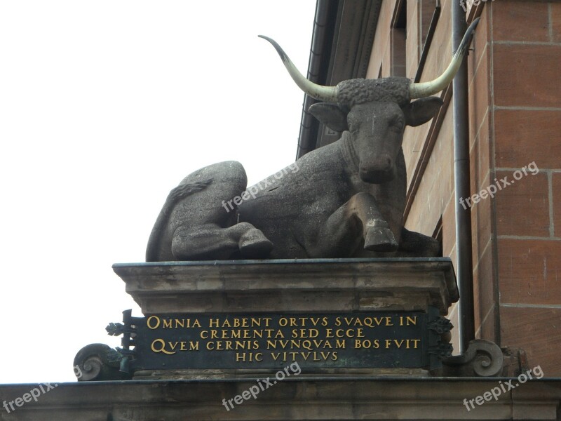 Nuremberg Meat Market Ox Monument Sculpture