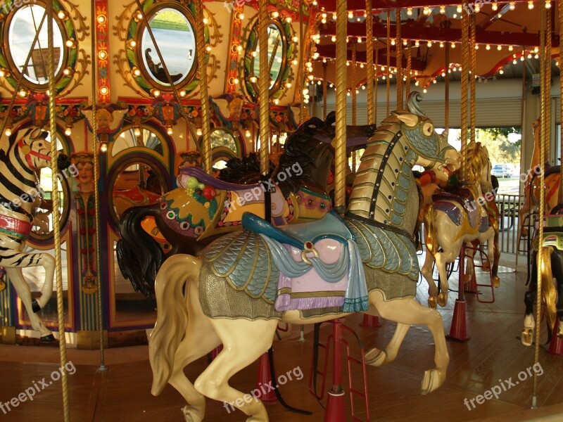 Carousel Merry-go-round Roundabout Amusement Park