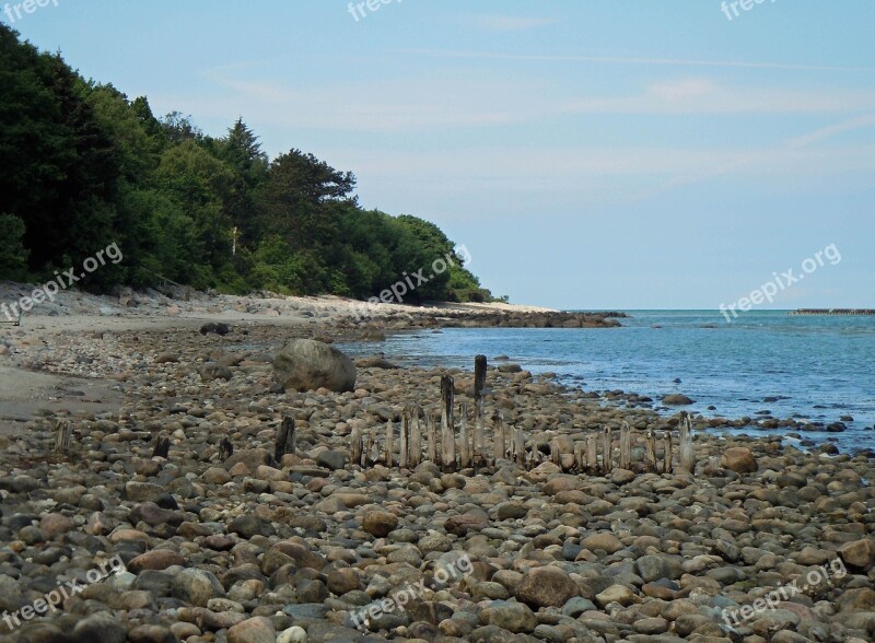 Sea Baltic Sea Coast Beach Free Photos