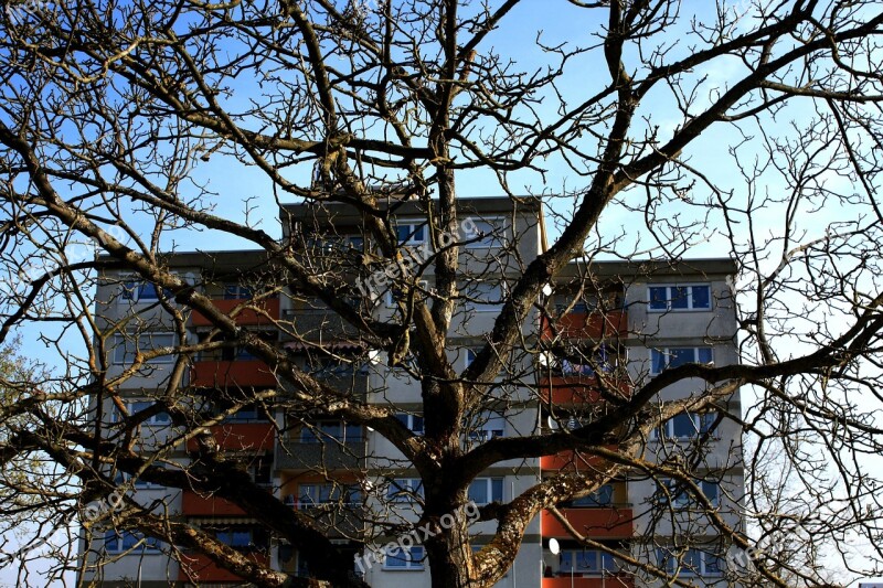 House Residence Skyscraper Tree Kahl