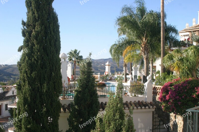 Palm Trees Costa Del Sol Spain Aida Puebla Mijas Costa