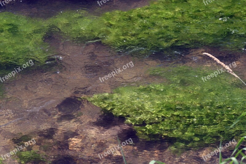 Water Lens Bach Water Movement Water Nature