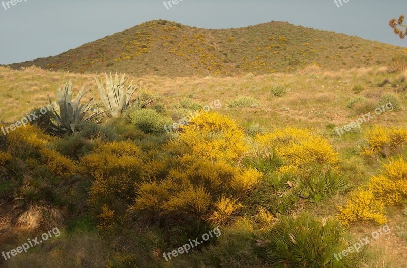 National Park Cabo De Gata Spain Rest Idyll