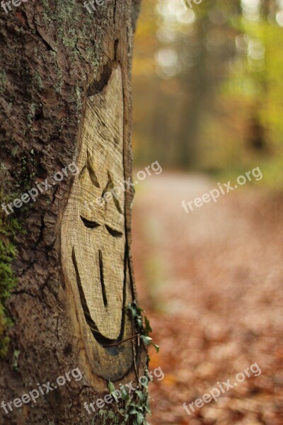 Tree Autumn Laugh Carve Smile