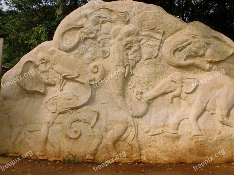 Elephant Carvings Rock Sculpture Sri Lanka