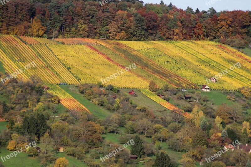 Vineyard Autumn Nature Landscape Bright