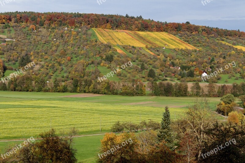 Autumn Vineyard Color Out Season