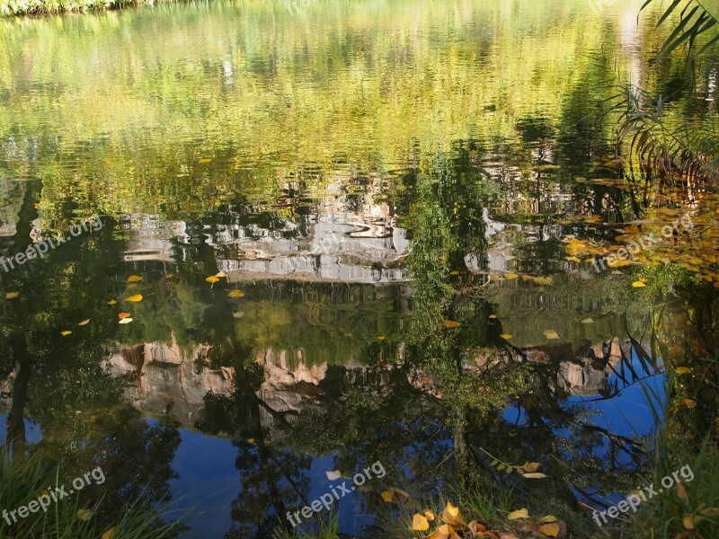 River Reflection Shore Trees Water