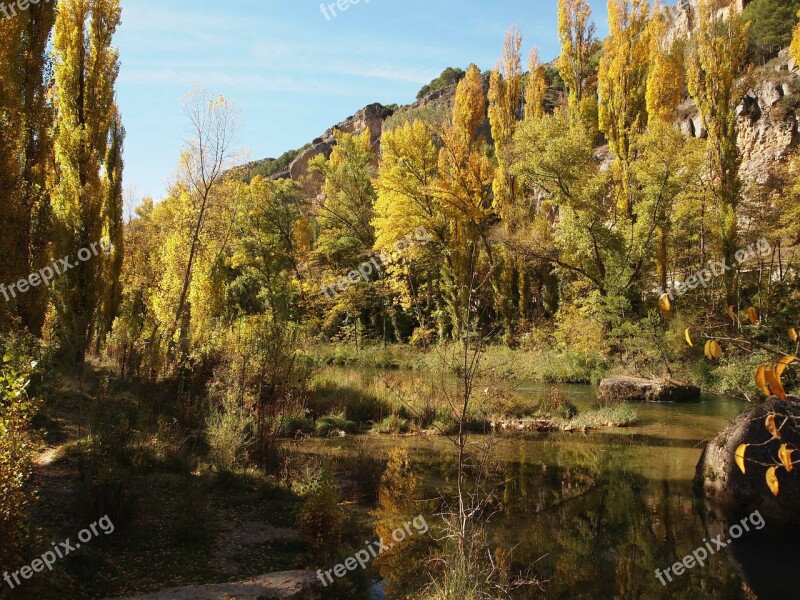 River Poplars Reflection Water Landscape