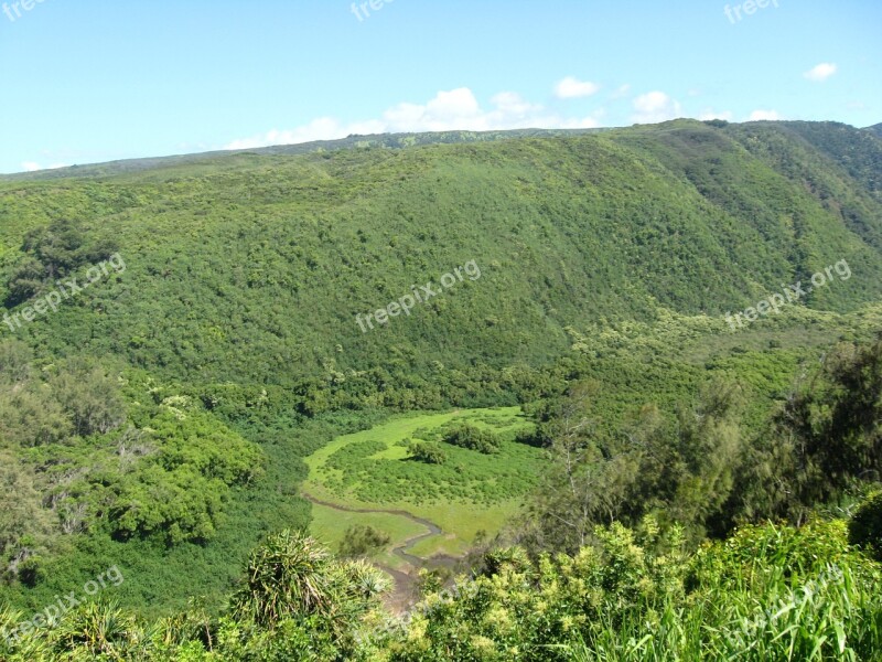 Valley Green Treens Forest Woods