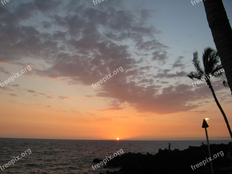 Sunset Sea Ocean Torch Palm Tree