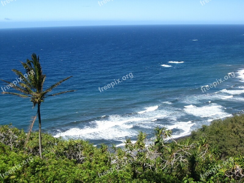 Beach Surf Wave Ocean Sea