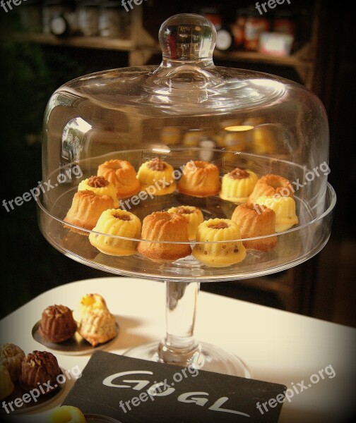 Gugl Cake Bake Delicious Glass Cloche