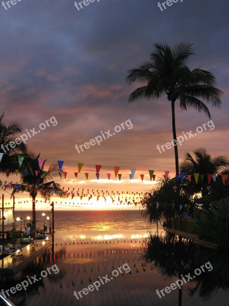 Mood Palm Trees Thailand Landscape Water