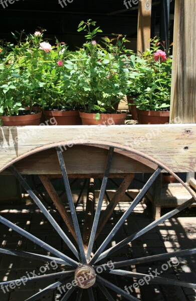 Cart Wooden Static Display Wheel