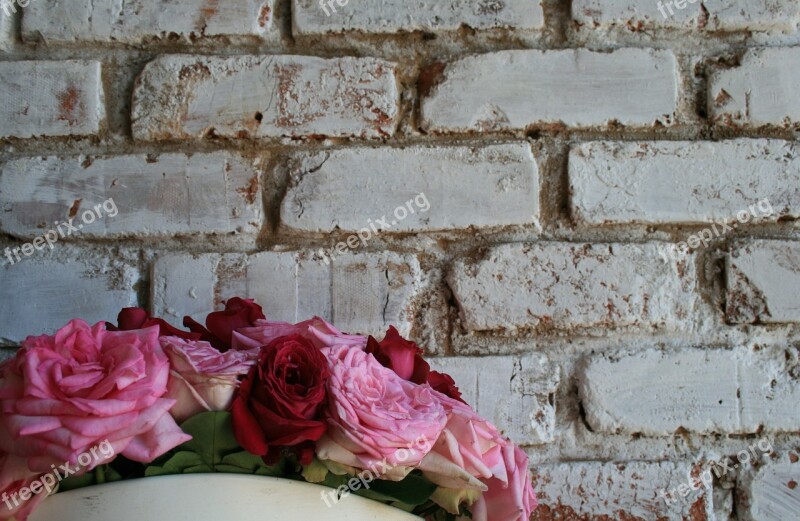 Wall White Brick Roses Pinks