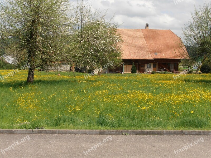 Landscape Trees Nature Farm Building