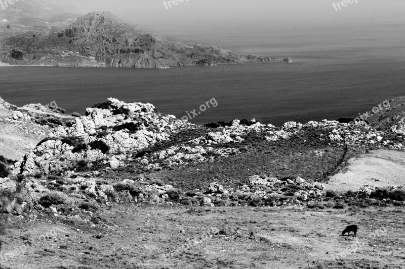 Field Seaside Crete Black And White Free Photos