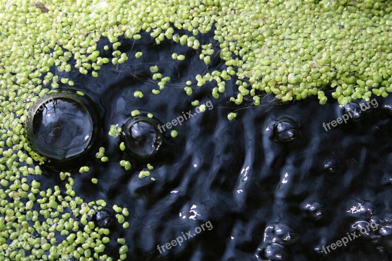 Water Reflections Mare Bubble Free Photos