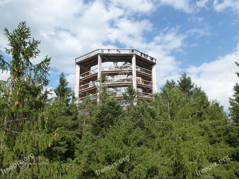 Lipno Lookout In The Trees Free Photos