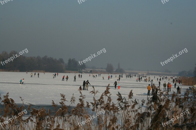 Frost Natural Ice Pastime Landscape Ice Skating Netherlands