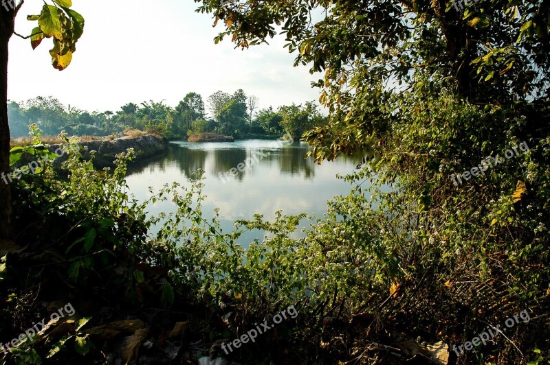 Lake Landscape Shrubs Free Photos