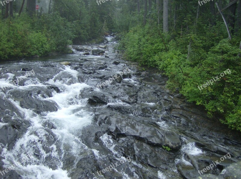 Cold Mountain Creek Washington State