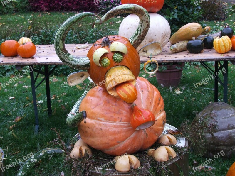 Pumpkin Art Pumpkins Blühendes Baroque Ludwigsburg Germany Pumpkin Cow