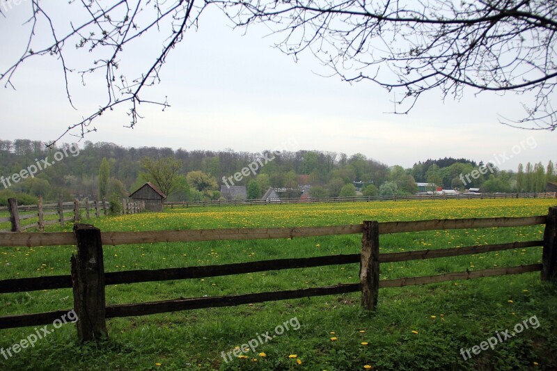 Fence Landscape Country Life Meadow Pasture