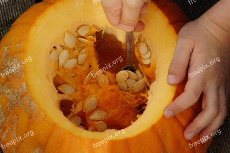 Pumpkin Pumpkins Orange Bright Autumn