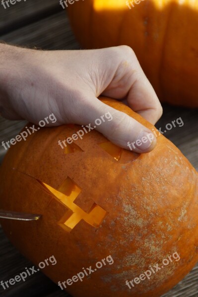 Pumpkin Pumpkins Orange Bright Autumn