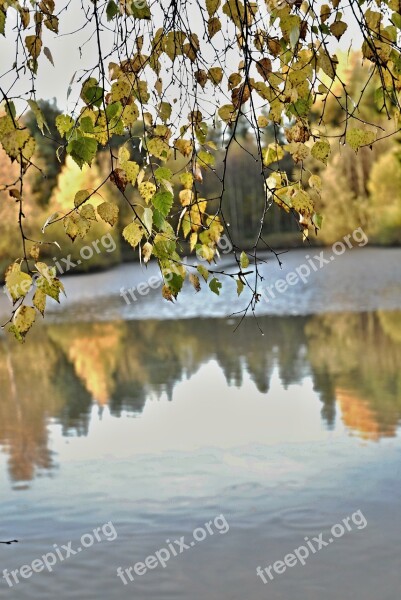 South Bohemia Harvesting Pond Reflection Ripple