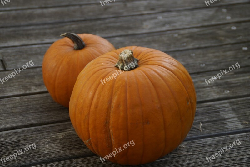 Pumpkin Pumpkins Orange Bright Autumn