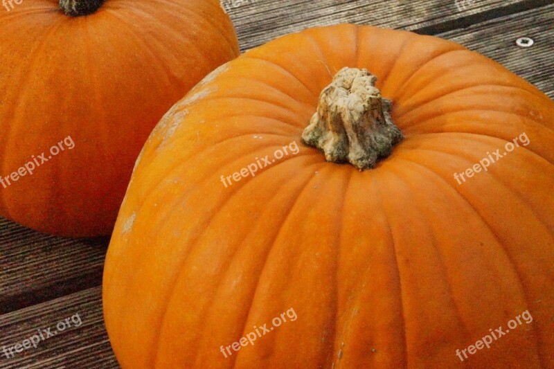 Pumpkin Pumpkins Orange Bright Autumn