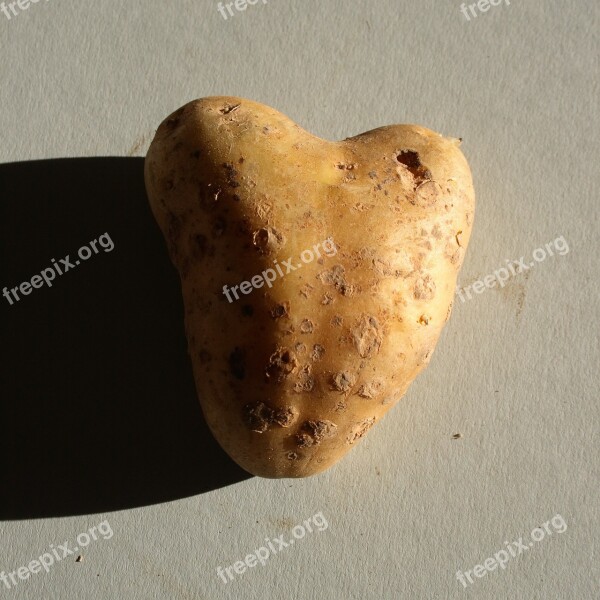 Heart Love Symbol Potato Tuber