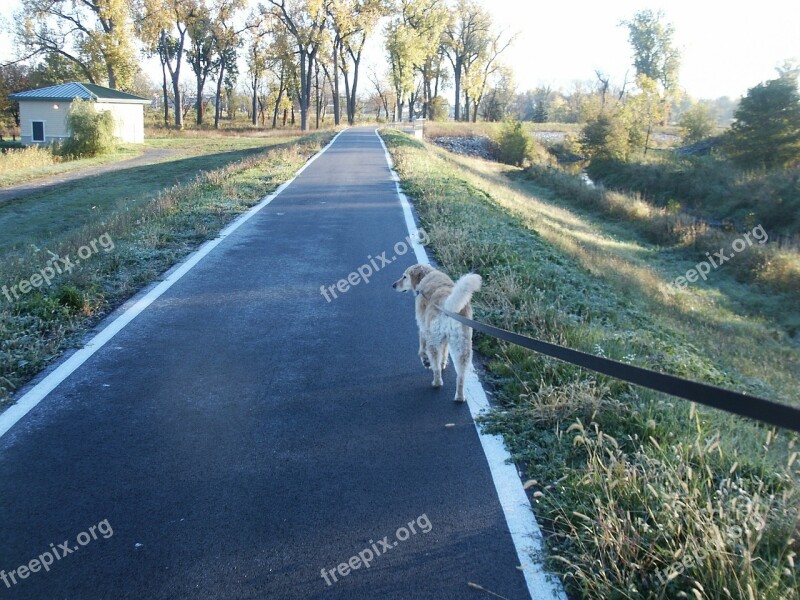 Dog Walking Leash Pathway Park