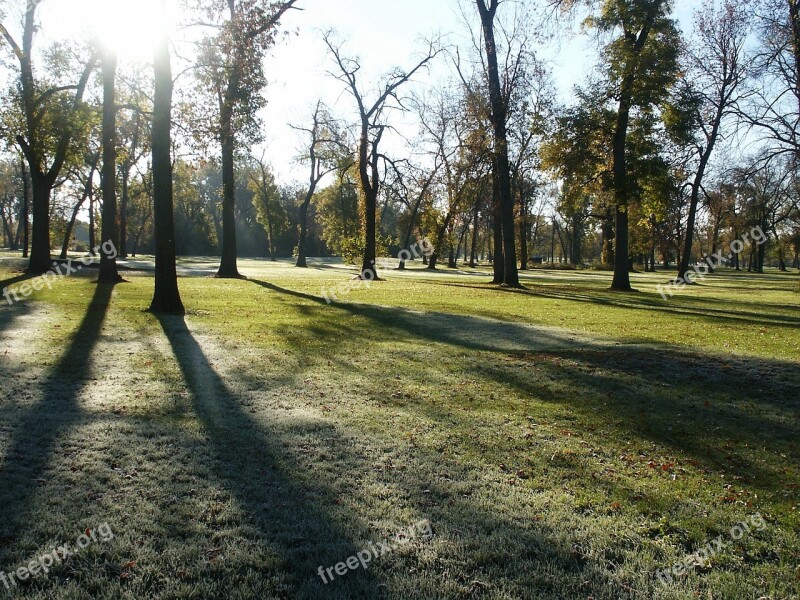 Park Morning Dew Frost Trees